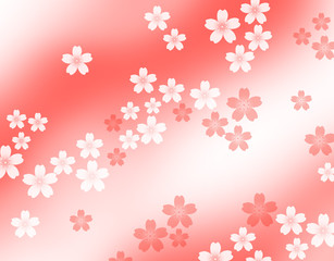 Fototapeta premium 桜
