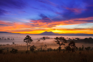 misty morning sunrise dramatic sky in mountain at Thung Salang L