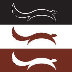 Obraz premium Vector image of an squirrel design