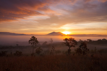 misty morning sunrise in mountain at Thung Salang Luang National