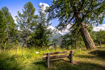 Fototapeta na wymiar Bench in a forest of Mont Blanc 