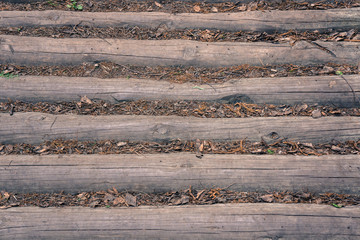 Lumber with dead soil cover