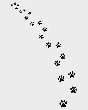 Black trail of cat, turn left, vector illustration