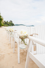 Chair setting for Wedding
