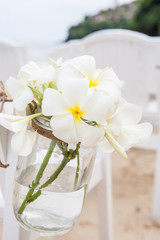 Chair setting for Wedding