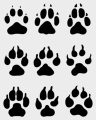 Black print of paw of dogs, vector illustration