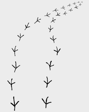 Black trail of birds, turn right, vector illustration