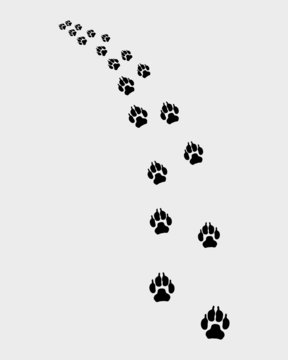 Black trail of dog, turn left, vector illustration