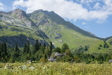 Naklejka na ściany i meble Majestic mountain landscapes of the Caucasian reserve