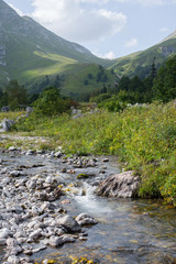 Beautiful mountain river Caucasus Nature Reserve