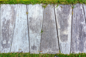 Wooden footpath and grass