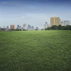 Obraz premium An empty scene of green grass field and office building city