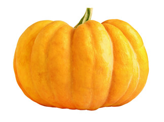 Pumpkin isolated on white