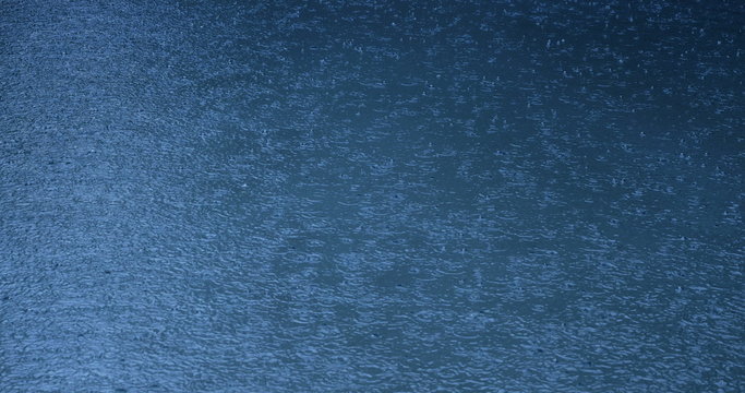 Drops in rain pool 4k