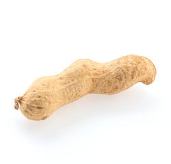 Fototapeta premium peanuts isolated on white background