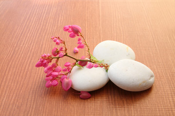 coral vine and white stone