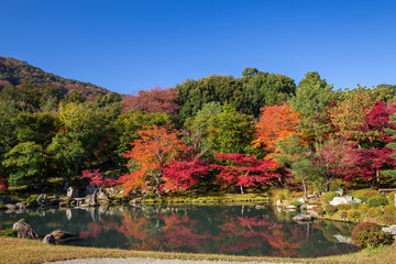 Obraz premium 秋の天龍寺
