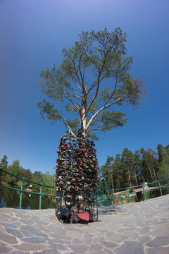 Wedding tree