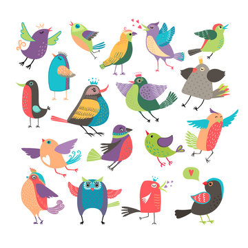 Cute cartoon birds