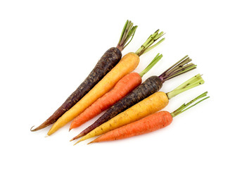 Group of vibrant variety of different colors of carrots