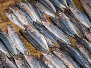 Obraz premium The fish market in Jimbaran Bali