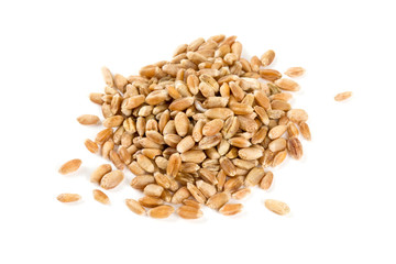 pearl barley isolated on white