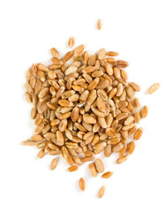 pearl barley isolated on white
