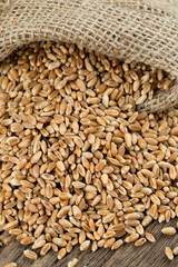 barley on wooden surface