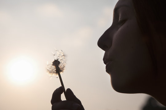 A young woman blowing a dandelion seedhead. Silhouette.