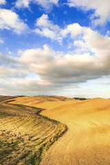 Fototapeta premium Autumn colors on the fields