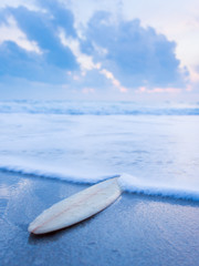 Obraz na płótnie Canvas Surfboard on the beach at sunset