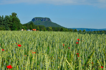 Lilienstein © Karin Jähne