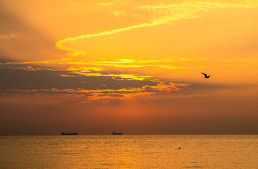 Panorama of sea sunset