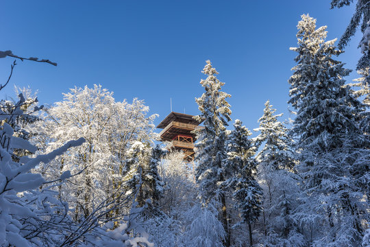 The lookout tower winter