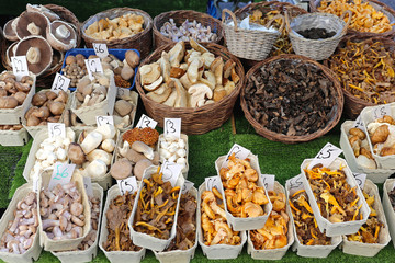 Mushrooms