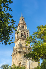 Mosque Cathedral of Cordoba in Andalusia, Spain