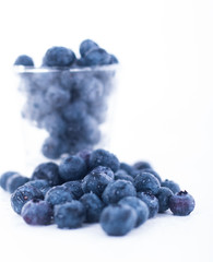 blueberry fruit