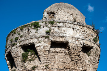 Fototapeta na wymiar Tower of Paestum