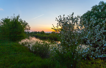 Reflection of trees on the shore at sunrise rays