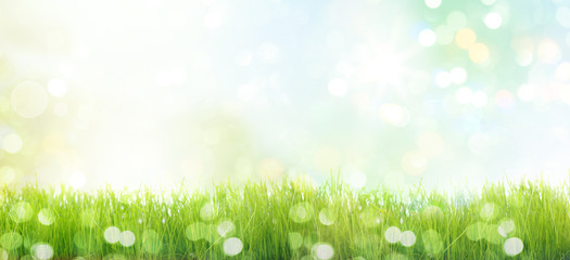 natur landschaft flyer