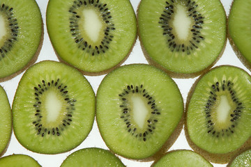 Fototapeta premium kiwi