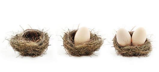 Empty nest and eggs inside the nests