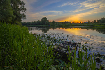 sunset in spring forest