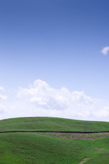 Fototapeta premium Toscane Crete Senesi