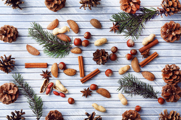 Sprigs of Christmas tree with bumps,  spices and nuts