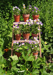 Colorful Flowerpots on a display stand