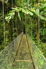 Empty hanging metal bridge in tropical forest