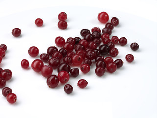 cranberry