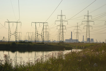 Summer landscape with power line