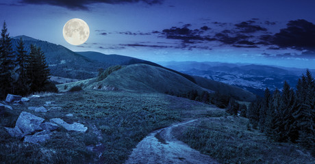 Fototapeta premium sosny w pobliżu doliny w górach w nocy